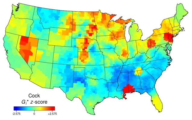 Heat map of the USA for "cock". A few small red patches in Nevada, Mississippi, Alabama, Pennsylvania and New Jersey. Light blue or neutral elsewhere.