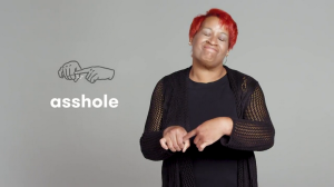 Four images of American Sign Language users signing 'asshole', 'bullshit', 'cocksucker', and 'dumbass'