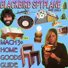 Collage of home goods, headshot of bearded white man, and pensive white woman holding a large mug. Text reads "Blackbird Spyplane Mach+ Home Goods Guide"